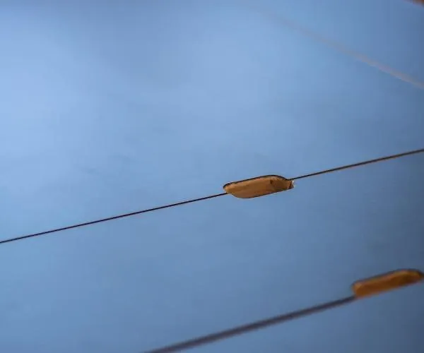 Panorama - Luxe En Altitude Dans Les Vosges * Granges-sur-Vologne